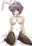  animal_ears bangs black_legwear brown_eyes bunny_ears bunnysuit grey_hair kneeling nagato_yuki pantyhose ranpu short_hair solo suzumiya_haruhi_no_yuuutsu 