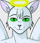  cat color drawing feline fur green_eyes gtoyaannno hair hair_white halo male mammal milkon white white_fur white_hair 