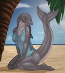 barefoot beach blue_eyes bottomless breasts cetacean clothed clothing cloud cloudy cute dolphin female fin grey_skin hairless half-dressed human_feet kneeling looking_at_viewer mammal marine on_ground palm_tree paws pinup pose redraptor16 sand sea seaside seductive shiny shirt shy sky smile solo summer tree water wood 
