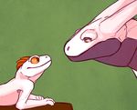  ambiguous_gender amit duo eye_contact feathers friends frillsby green_background hair horn lizard magnus mohawk orange_eyes orange_hair pink_scales pink_sclera plain_background red_eyes reptile scales scalie size_difference slit_pupils 