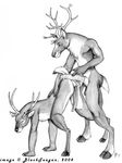  antlers balls blackteagan butt cervine deer gay horn male mammal nude penis sex 