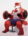  2017 4_fingers 4_toes anthro body_hair breath canine chest_hair clothing exercise front_view fur green_eyes grey_background hair heterochromia looking_down male mammal o-ro red_eyes red_fur red_hair shirt shorts simple_background sitting solo sweat tank_top toes vein weightlifting weights workout 