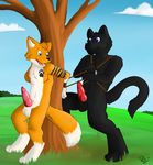  duo feline fox gay male mammal panther renashe 