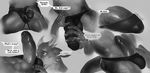  balls big_penis darkgem gay horn humanoid_penis jockstrap kneeling lizard male monochrome muscles penis pose reptile scales scalie topless uncut underwear vein vpl 