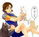  alternate_costume armor brown_eyes brown_hair cat dog hashiko_(neleven) lowres sengoku_musou sengoku_musou_2 short_hair solo tachibana_ginchiyo translated 