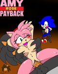  amy_rose sinshadowed sonic_team sonic_the_hedgehog tagme 