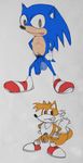  hughtheindestructibl sonic_team sonic_the_hedgehog tagme tails 