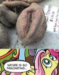  fluttershy food friendship_is_magic inanimate my_little_pony potato 