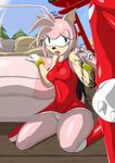  amy_rose bluefoxlover knuckles_the_echidna shinobi sonic_team 