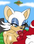  anthro areola balls bat big_breasts blue_eyes breasts echidna erect_nipples erection fellatio female hair josemalvado knuckles_the_echidna male mammal nipples nude oral oral_sex penis rouge_the_bat sega sex sonic_(series) sonic_team straight white_hair wings 