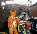  cracked fozzie_bear gonzo kermit_the_frog muppet_show muppets 