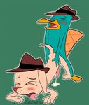  caluriri perry_the_platypus phineas_and_ferb pinky_the_chihuahua tagme 