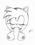  amy_rose excito sonic_team tagme 