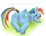  friendship_is_magic my_little_pony rainbow_dash tagme 