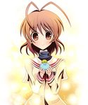  antenna_hair bad_id bad_pixiv_id binzume_suika blush brown_eyes brown_hair clannad dango_daikazoku furukawa_nagisa hikarizaka_private_high_school_uniform school_uniform short_hair solo 