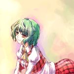  all_fours ascot green_hair juuka@100neko kazami_yuuka looking_at_viewer plaid plaid_skirt plaid_vest short_hair skirt skirt_set smile solo touhou vest 