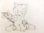  amy_rose coolblue sonic_team tagme 
