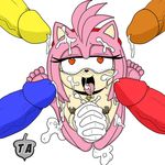  amy_rose jay-triqz knuckles_the_echidna slashysmiley sonic_team sonic_the_hedgehog tails 