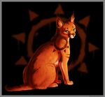  anatomically_correct back blue_eyes cat daesiy feline feral fur mammal orange_fur tribal 