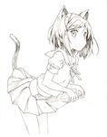  animal_ears bad_id bad_pixiv_id cat_ears cat_tail hentai_ouji_to_warawanai_neko. highres monochrome short_hair simple_background skirt solo tail toki_(tok1t0ki) tsutsukakushi_tsukiko white_background 