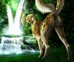  butt cheetah feline female feral forest grass inviting jocarra looking_at_viewer looking_back mammal mia nude outside presenting presenting_hindquarters pussy raised_tail smile solo tree water waterfall 