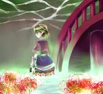  arm_warmers blonde_hair bridge flower green_eyes half_updo hammer mizuhashi_parsee short_hair solo spider_lily tadano_kagekichi touhou water 