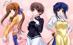  apron artist_request blue_hair brown_eyes brown_hair clannad fang furukawa_sanae ibuki_kouko long_hair looking_at_viewer multiple_girls sagara_misae shirt short_hair sleeves_rolled_up sweater white_shirt yellow_eyes 