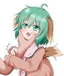  ahoge animal_ears arm_grab blush brown_dress cheek_squash chin_grab dog_ears dog_tail dress drooling fang green_eyes green_hair hand_on_another's_face happy image_sample kasodani_kyouko long_sleeves oden_(th-inaba) open_mouth out_of_frame pink_dress saliva short_hair solo_focus tail thumbnail touhou trembling white_background 