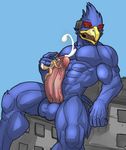  5_fingers abs anthro avian balls barefoot beak biceps big big_balls big_muscles big_penis bird black_eyes blue_body blue_eyes butt canine city cum cum_on_chest cum_on_penis cumshot erection falco_(artist) falco_lombardi feathers fist fox fox_mccloud fur gay headgear hi_res humanoid_penis interspecies japanese looking_down looking_up macro male mammal manly masturbation microphone muscles nintendo nude on_top open_mouth orange_fur orgasm outside pecs penis pink_penis pink_skin pose presenting raised_arm sheath sitting size_difference skin sky spread_legs spreading star_fox toned tongue tongue_out uncut vein video_games white_eyes white_fur 