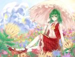  ascot bad_id bad_pixiv_id cloud eityse_(rinsy) field flower flower_field full_body green_eyes green_hair kazami_yuuka kazami_yuuka_(pc-98) long_sleeves mary_janes parasol petals plaid plaid_skirt plaid_vest red_footwear shoes short_hair sitting skirt skirt_set socks solo sunflower touhou umbrella vest white_background 