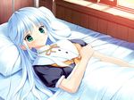 bed blue_hair blush game_cg green_eyes long_hair lying mizumori_minami solo soshite_ashita_no_sekai_yori ueda_ryou 