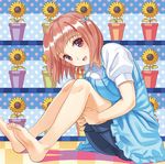  barefoot brown_eyes brown_hair dress hataraku_maou-sama! kichiroku legs sasaki_chiho short_hair shorts sitting smile solo 