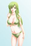  bad_id bad_pixiv_id bikini breasts fire_emblem fire_emblem:_monshou_no_nazo green_eyes green_hair highres large_breasts long_hair paola solo swimsuit tamamon 
