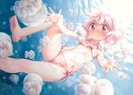  animal bikini cuffs gayarou pink_hair swimsuit twintails underwater 