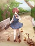  bird blush brown_hair duck duckling flustered kawara_yun loafers miyanaga_saki saki shoes short_hair solo 