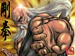  beard facial_hair gouken long_hair low-tied_long_hair male_focus muscle nikuji-kun old_man punching scar solo street_fighter street_fighter_iv_(series) white_hair 