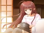  1girl brown_eyes brown_hair game_cg lisianthus long_hair shuffle! tsuchimi_rin 