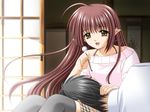  1girl brown_eyes brown_hair game_cg lisianthus long_hair shuffle! tsuchimi_rin 