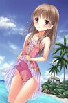  atelier_(series) atelier_totori banned_artist beach blush brown_eyes brown_hair cloud day highres leotard long_hair looking_at_viewer n.g. ocean open_mouth outdoors palm_tree pink_leotard skirt skirt_lift sky solo standing thigh_gap totooria_helmold tree wading wet 