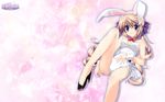  animal_ears bunny_ears bunny_girl koiiro_soramoyou lucie wallpaper 