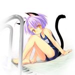  animal_ears bad_id bad_pixiv_id blush cat_ears cat_tail flat_chest looking_at_viewer mao_(mizuki_kotora) mizuki_kotora one-piece_swimsuit original purple_hair school_swimsuit short_hair sitting solo swimsuit tail yellow_eyes 