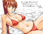  bad_id bad_pixiv_id bikini brown_eyes brown_hair copyright_request food long_hair navel ponytail popsicle solo swimsuit translated wankoro_mochi 