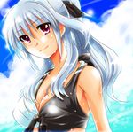  alternate_hairstyle bikini breasts cleavage cloud dated day front-tie_top large_breasts long_hair lyrical_nanoha mahou_shoujo_lyrical_nanoha mahou_shoujo_lyrical_nanoha_a's ponytail red_eyes reinforce san-pon silver_hair sky smile solo swimsuit water wet 