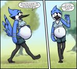 anthro avian avian_feet beak bird blue_body blue_feathers blue_jay breasts cartoon_network clothed clothing corvid crossgender day english_text feathers female hand_on_pregnant_belly hand_on_stomach jay_(bird) mordecai_(regular_show) nervous_smile new_world_jay oscine park passerine pregnant regular_show shieltar solo speech_bubble tail_feathers text walking white_body white_feathers