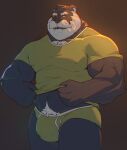 2023 anthro bear beard biceps black_bear black_body black_fur body_hair bulge chest_hair chest_tuft clothing eye_patch eyewear facial_hair flexor_carpi fur green_clothing green_shirt green_topwear green_underwear hair happy_trail hi_res light male mammal mr_nellory musclegut muscular muscular_anthro muscular_male mustache navel nipple_outline pantsless pecs pubes shirt solo sunlight topwear triceps tuft underwear ursine white_hair