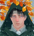  1boy ascot autumn_leaves babu_(babushkahihi) black_hair blue_eyes branch closed_mouth crying crying_with_eyes_open curtained_hair highres levi_(shingeki_no_kyojin) male_focus mourning portrait shingeki_no_kyojin short_hair solo tears tears_from_one_eye tree 