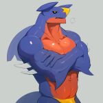 absurd_res anthro crossed_arms dendryte_axxon digital_drawing_(artwork) digital_media_(artwork) garchomp generation_4_pokemon hi_res male muscular muscular_anthro muscular_male nintendo pokemon pokemon_(species) simple_background solo standing tail