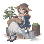  1girl animal_ears animal_on_lap apron arknights blue_apron blue_bow blue_coat blue_footwear blush bow brown_eyes bush coat dress fennec_fox fox_ears fox_girl fox_tail full_body fur-trimmed_coat fur_trim hair_bow high_heels highres infection_monitor_(arknights) looking_at_viewer on_lap perfumer_(arknights) plant ponytail potted_plant shadow short_hair sidelocks simple_background smile solo stool sushitarou tail tree twitter_username waist_apron watering_can white_background white_dress 
