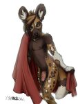 2016 african_wild_dog anthro blue_eyes brown_body brown_ears brown_fur brown_nose brown_tail canid canine digital_media_(artwork) erection eyebrows fabric fur genitals hair holding_object humanoid_genitalia humanoid_penis james_(sayuncle) male mammal markings multicolored_body multicolored_fur multicolored_tail navel nipples nude penis sayuncle simple_background solo spots spotted_body spotted_fur standing tail urs white_background white_tail