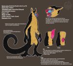 absurd_res animal_genitalia anthro avian-king biped cantiorbeal claws countershade_fur countershade_torso countershading english_text erection female fur genitals hi_res male mammal model_sheet open_mouth penis primate sheath solo tail teeth text